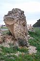 Carthage - Oued Millinane 100_6344